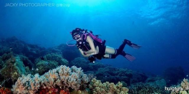 探索心痛孩子还没出生老婆说要求离婚的红迪网平台